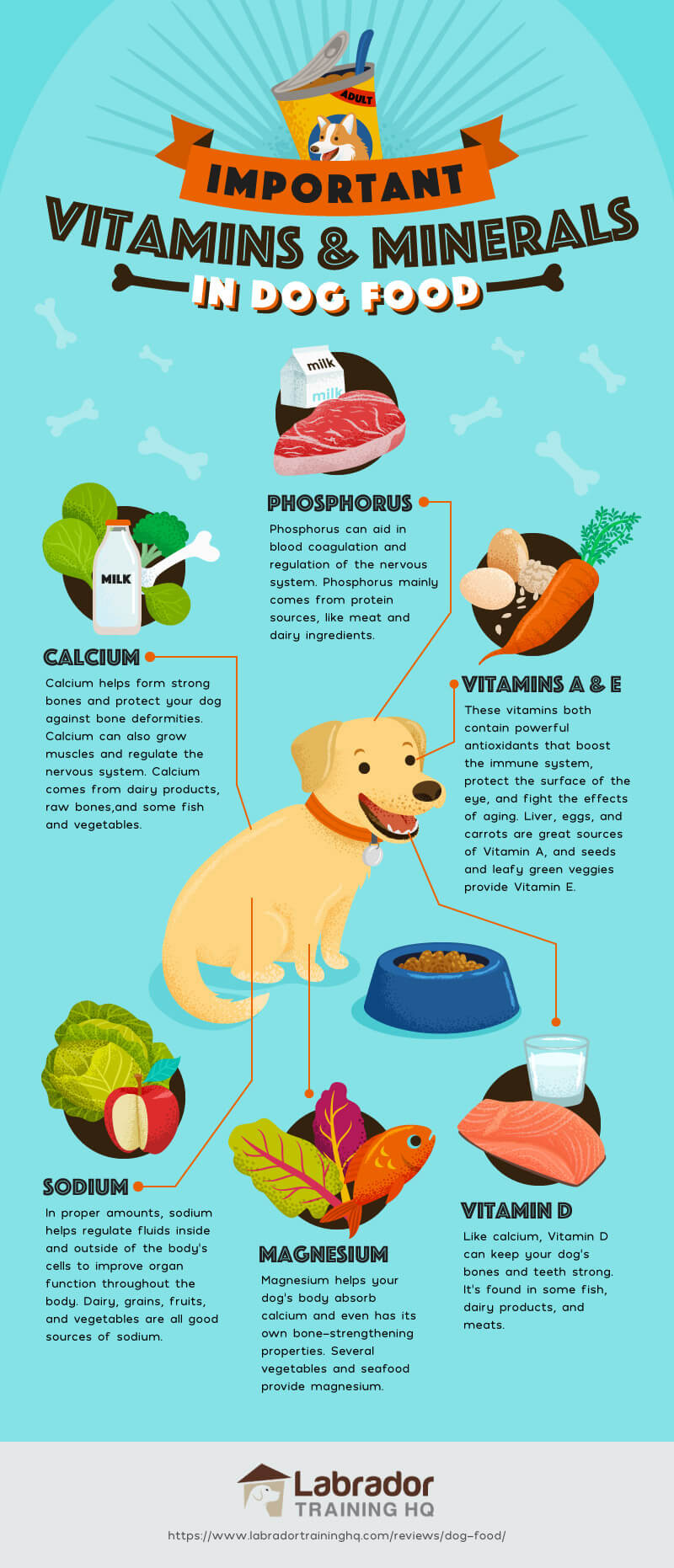 Vitamins And Minerals In Dog Food Genuine Dog Gear