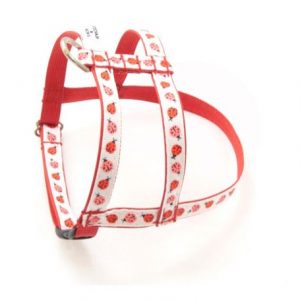 Red Ladybug Dog Harness