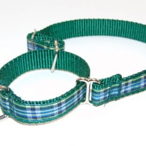 Isle of Skye Martingale Dog Collar