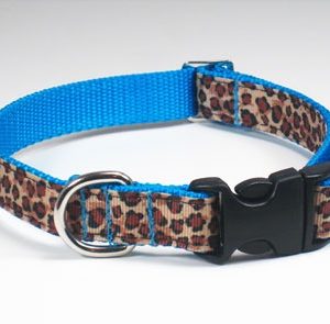 Turquoise Leopard Dog Collar