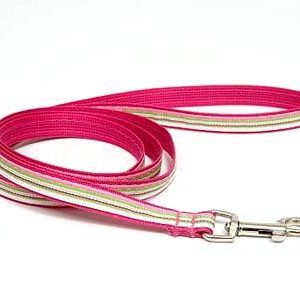 Retro Pink Peppermint Dog Leashes
