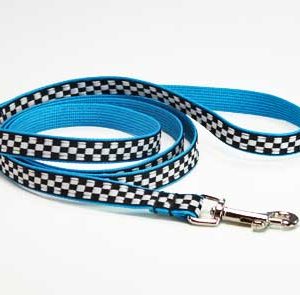 Speedway GT Turquoise Leash