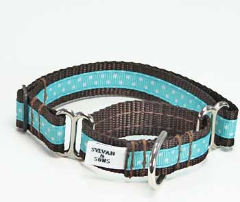 Tiffany Blue Chocolate Martingale - Genuine Dog Gear