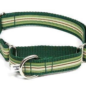 Retro Wintergreen Mint Martingale Dog Collars