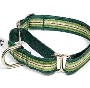 Retro Wintergreen Mint Martingale Dog Collars