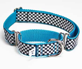 Speedway GT Turquoise Martingale - Genuine Dog Gear
