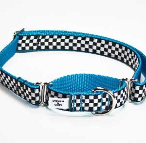 Speedway GT Turquoise Martingale