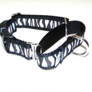 Midnight Zebra Buckle Martingale Dog Collar