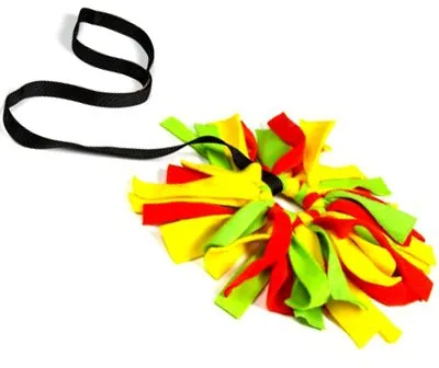 Frenzy Ring with Leash
