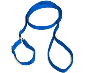 Super-Soft Blue Premium Slip Leash