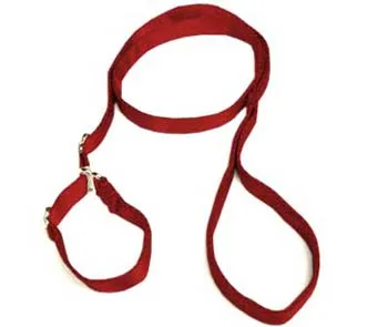 gdl-prem-hu-4fpk-nylon-humane-slip-leash gdl prem hu 4fpk nylon humane slip leash