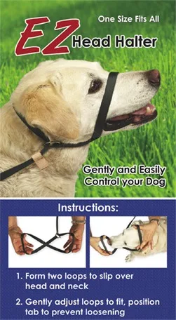 EZ One Piece Halter & Leash