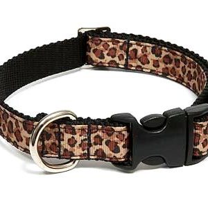 Safari Nights Dog Collar