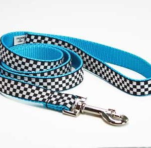 Speedway GT Turquoise Leash
