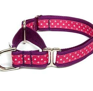 Sunrise Polka Dot Pink Martingale Dog Collars