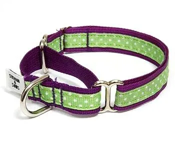 Sandcastle Polka Dot Martingale Dog Collars
