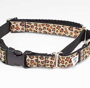 Safari Nights Buckle Martingale Dog Collar