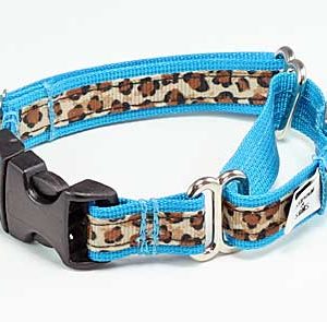 Turquoise Leopard Buckle Martingale Dog Collar