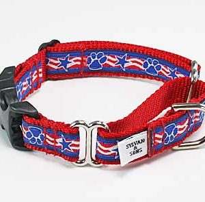 Stars & Paws Buckle Martingale Dog Collar
