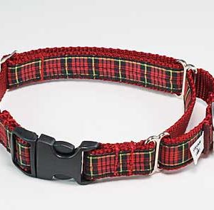 Tartan Clan Plaid Buckle Martingale Dog Collar