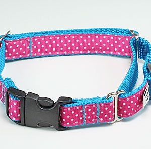 Seaside Polka Dot Pink Buckle Martingale Dog Collar