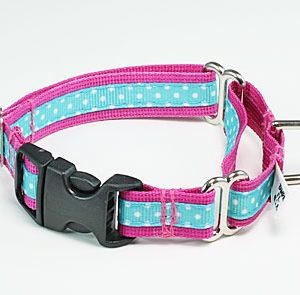 Sanibel Polka Dot Pink Buckle Martingale Dog Collar