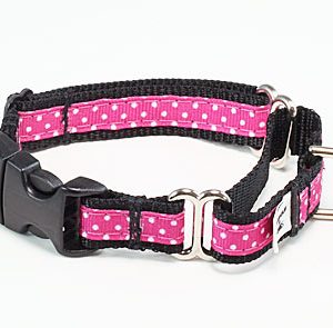 Sunset Polka Dot Pink Buckle Martingale Dog Collar