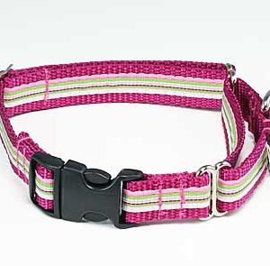Retro Pink Peppermint Buckle Martingale Dog Collar