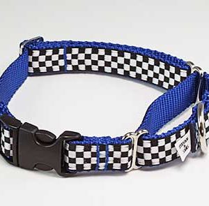 Speedway Monterey Blue Buckle Martingale Dog Collar