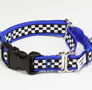 Speedway Monterey Blue Buckle Martingale Dog Collar