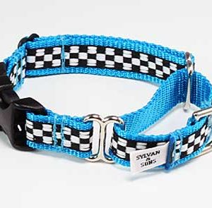 Speedway GT Turquoise Buckle Martingale Collar