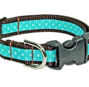 Tiffany Blue Chocolate Dog collar