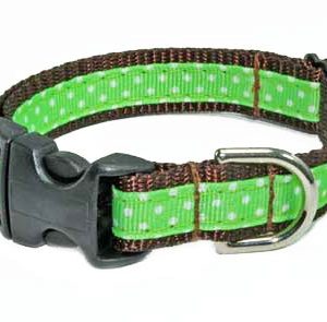 Key Lime Chocolate Dog Collar