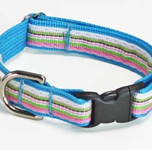 Turquoise Riviera Dog Collar