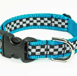 Speedway GT Turquoise Cat Collar