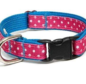 Seaside Polka Dot Pink Dog Collar