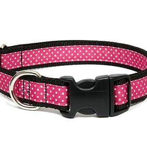 Sunset Polka Dot Pink Dog Collar