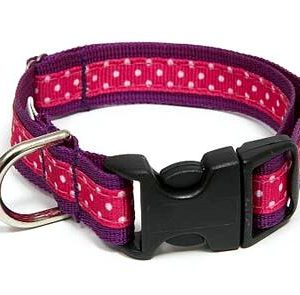 Sunrise Polka Dot Pink Dog Collar