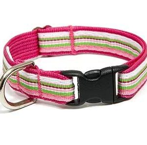 Retro Pink Peppermint Dog Collar