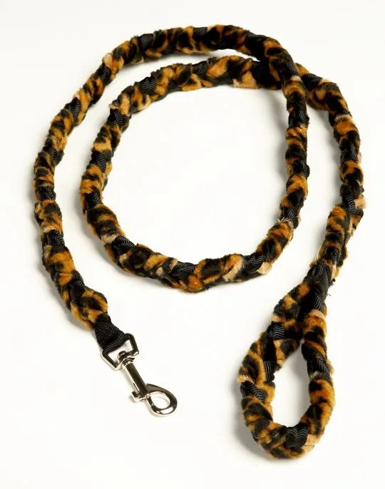 Cheetah 1